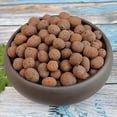 thumbnail image 3 of Lightweight Clay Pebbles 5-10mm – Premium Aquarium Substrate & Hydroponic Growing Media for Plants, Succulents, Bonsai |   Improves Drainage, Aeration & Prevents Root Rot, 3 of 9