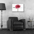 thumbnail image 4 of Epic Art 'Waratah Flower' by Elise Catterall, Acrylic Glass Wall Art, 24"x16", 4 of 8