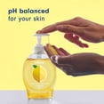 thumbnail image 5 of Softsoap Limited Edition Liquid Hand Soap, Meyer Lemon Scent, 7.5 fl oz Pump Bottle, 5 of 13