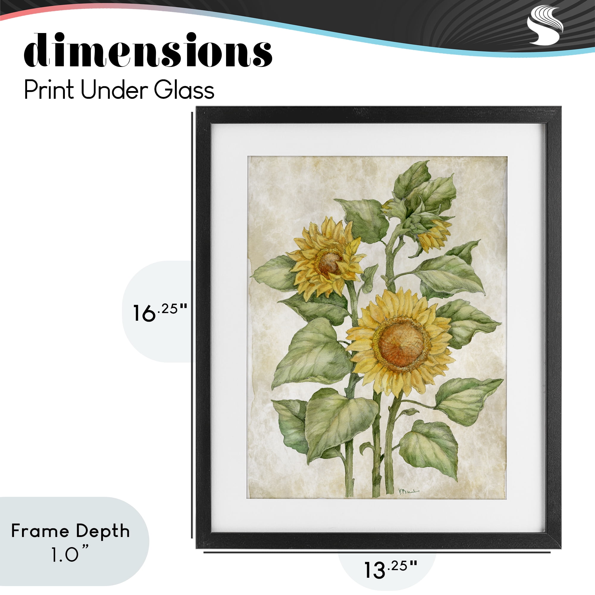 Stupell Industries Floral Journal Sunflower Black Framed Print Under Glass, design by Paul Brent