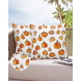 thumbnail image 6 of Pack of 2 Outdoor Pillow Covers, Fall Thanksgiving Orange Pumpkin Simple Lines Waterproof Square Throw Pillowcase Cushion Decorative Pillow Covers for Couch Patio Tent, 20x20 in, 6 of 6