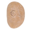 thumbnail image 3 of Pierre Commémorative pour Animaux, Marqueur de Galets de Simulation Extérieure, Monument de Jardin DIY, Cadeaux Commémoratifs Personnalisés pour Chien, Chat, 3 of 7