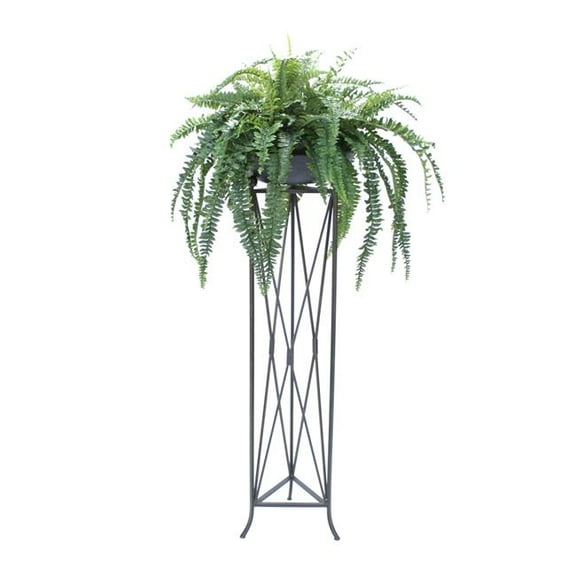 Disttive Designs 2839 Unisex Boston Fern in Stone Bowl in Large Plant Stand - Brown