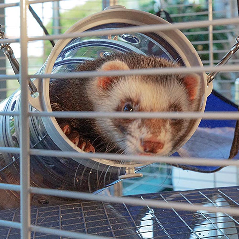 Ferret Tower XXL Ferret Cage Walmart