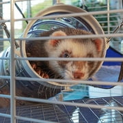 Ferplast Ferret Tower Two-Story Ferret Cage