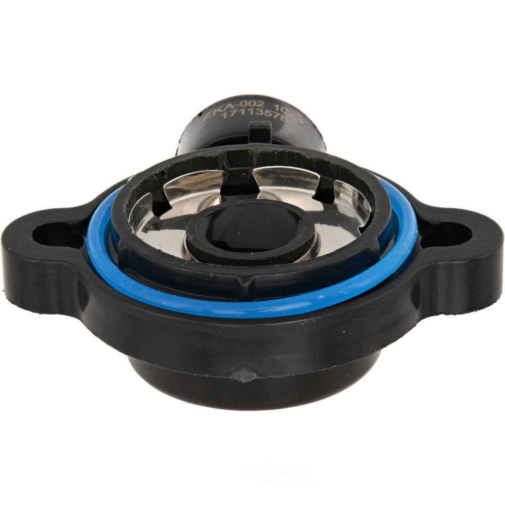 HOLSTEIN 2TPS0008 Throttle Position Sensor