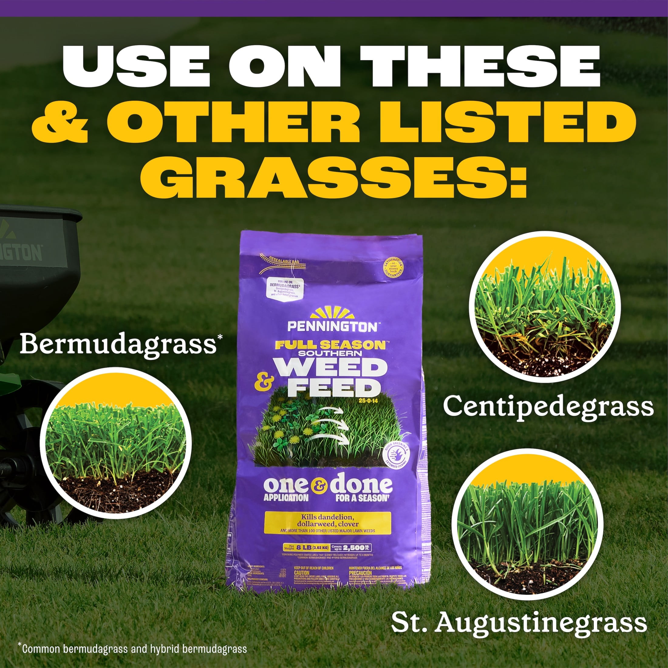 Pennington Full Season Southern Weed and Feed with Crabgrass Control, 25-0-14 Fertilizer, 8 lb., 2.5M Coverage