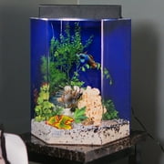 Clear For Life 12 Hexagon Acrylic Aquarium - Sapphire Blue Back