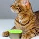 thumbnail image 2 of 6 tapas de silicona para latas, cucharas para comida de gatos y mascotas., 2 of 5