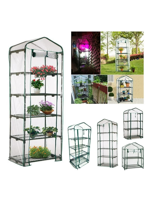 Mini Greenhouses in Greenhouses