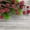 A5583, variant on sdhkgrrt under $5 3Pcs Artificial Holly Berries, Artificial Frosted Holly Berries,Fake 12mm Mini Christmas Fruit Berry Decor,Simulated Small Berries Christmas Tree Wreath,Patio Table Decorations