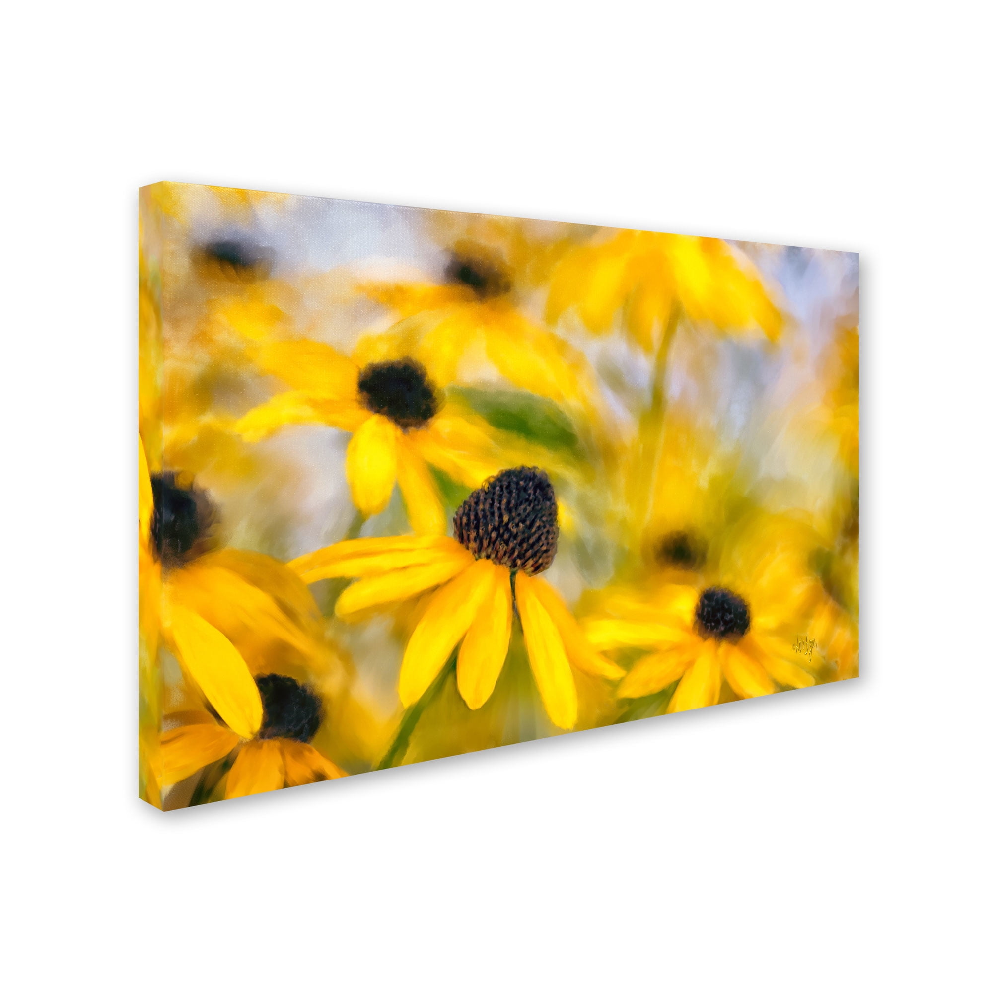 Trademark Fine Art "Dance Party" Canvas Art by Lois Bryan