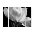 thumbnail image 2 of Michael Harrison 'Gardenia' Multi Panel Art Set Large, 2 of 3