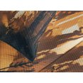 thumbnail image 4 of Ambesonne Occult Quilted Bedspread Set 3 Pcs, Lost Dog in Forest Art, King Size, Orange Brown, 4 of 5