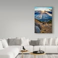 thumbnail image 3 of Trademark Fine Art 'Joshua Tree Sunset Ii' Canvas Art by Janice Sullivan, 3 of 3