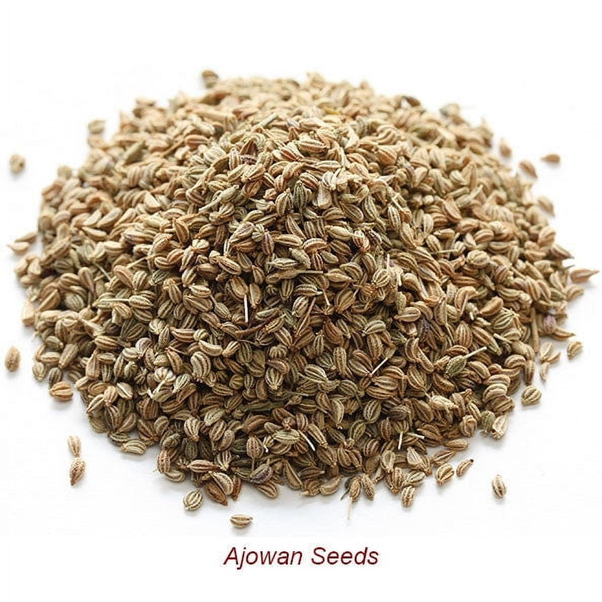 Ajowan Essential Oil 1 fl oz (30 ml) - 100% Pure and Natural by Silky Scents