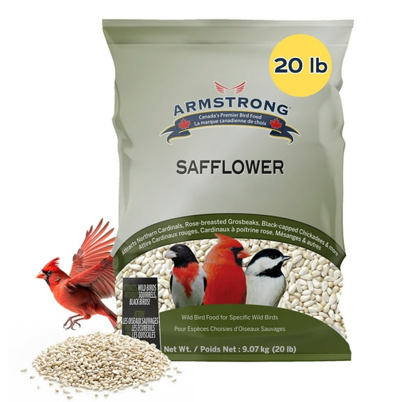 Armstrong Wild Bird Food Safflower Bird Seed, 20 Pounds - for Northern Cardinals, Rose-Breasted Grosbeaks and Black-Capped Chickadees – Ideal for Outside Feeders