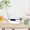 Black, variant on Specollect Clearance 1 Pcs Medium Cheese Container with Airtight Lid - Fridge Cheese Saver Ginger Garlic Spice Storage Container