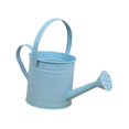 thumbnail image 2 of Regadera de metal con cabezal rociador, herramienta de jardinería, regalo práctico para plantas de interior, cubo de jardín para el hogar, flores de interior. Azul, 2 of 8
