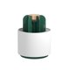 thumbnail image 1 of KKmoon USB Mosquito Killer Cactus Mosquito Killing Lamp Insecto doméstico, 1 of 8