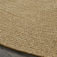 thumbnail image 4 of Superior Braided Indoor/ Outdoor Area Rug, 4' x 6', Lagoon Breeze, 4 of 6