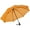 Orange, variant on Swing Liteflex Umbrella