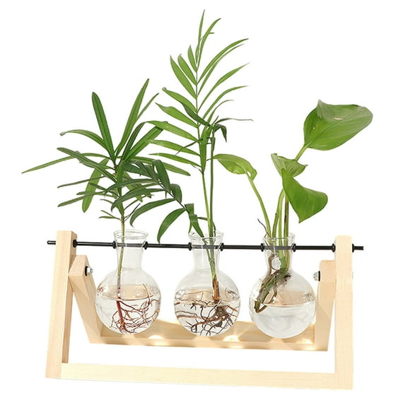 Fesfesfes Plant Terrarium with Wooden Stand, Desktop Propagation Stations Glass Planter Metal Swivel for Indoor Live Hydroponics Plants Office Home Garden Decor One Size