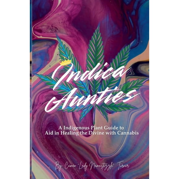 Indica Aunties, (Paperback)