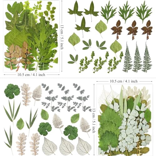 84Pcs Assorted Pressed Dried Leaves and Real Natural Bulk Dry Flowers for DIY Art Crafts, Epoxy Resin Jewelry, Candle and Soap Making, Nail Decoration Gifts