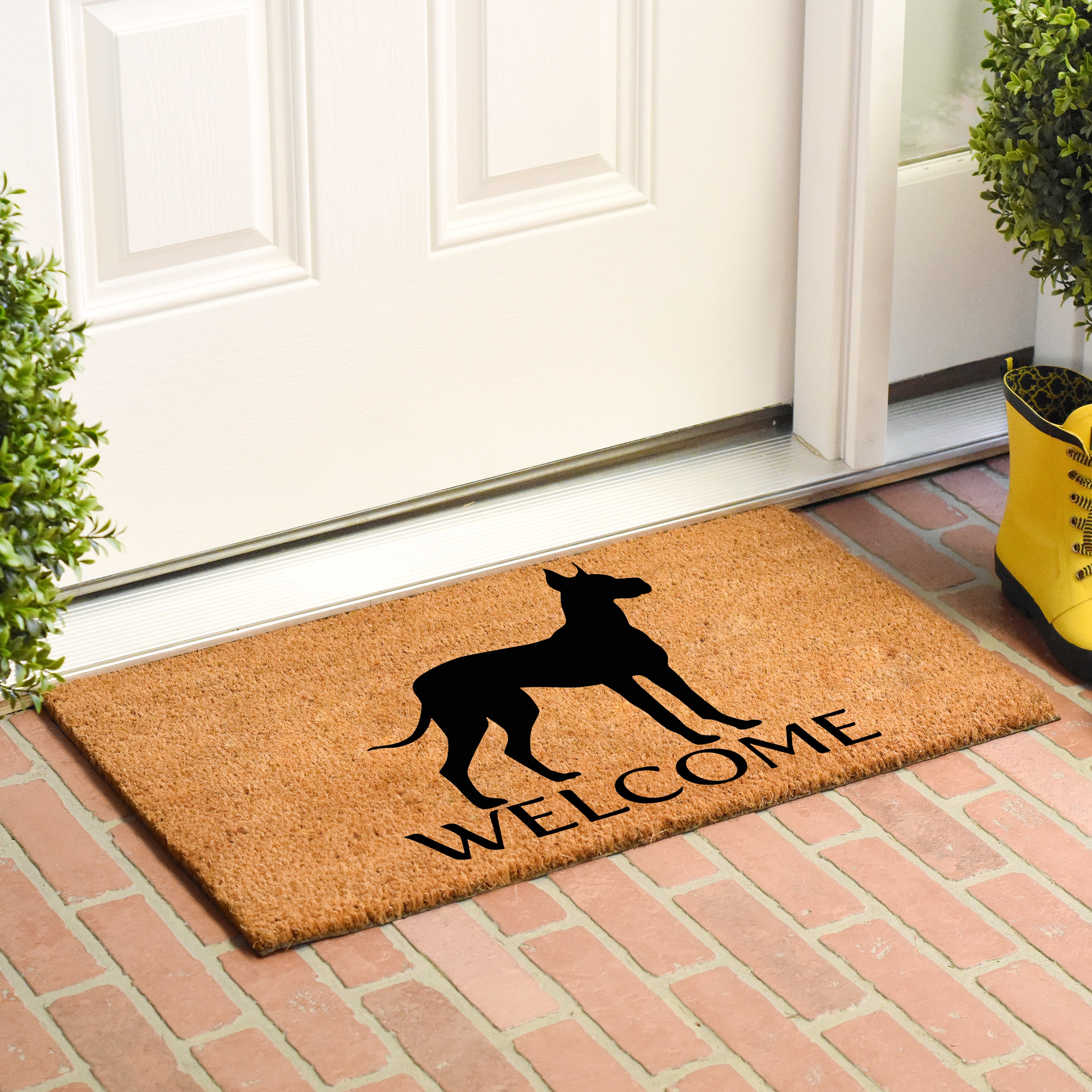 Calloway Mills Great Dane Outdoor Doormat 17" x 29"