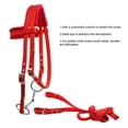 thumbnail image 3 of Montar Equipo De Caballo Ajustable Cabestro Brida De Caballo Montar A Caballo Dispositivo Ecuestre Espesar Suave Yuarrent OD009476-01, 3 of 7