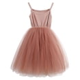 thumbnail image 1 of LYXIOF Robe Tutu pour Tout-Petits Filles Bébé Tulle Sans Manches Princesse Robe de Fête Rose 12 Mois, 1 of 4