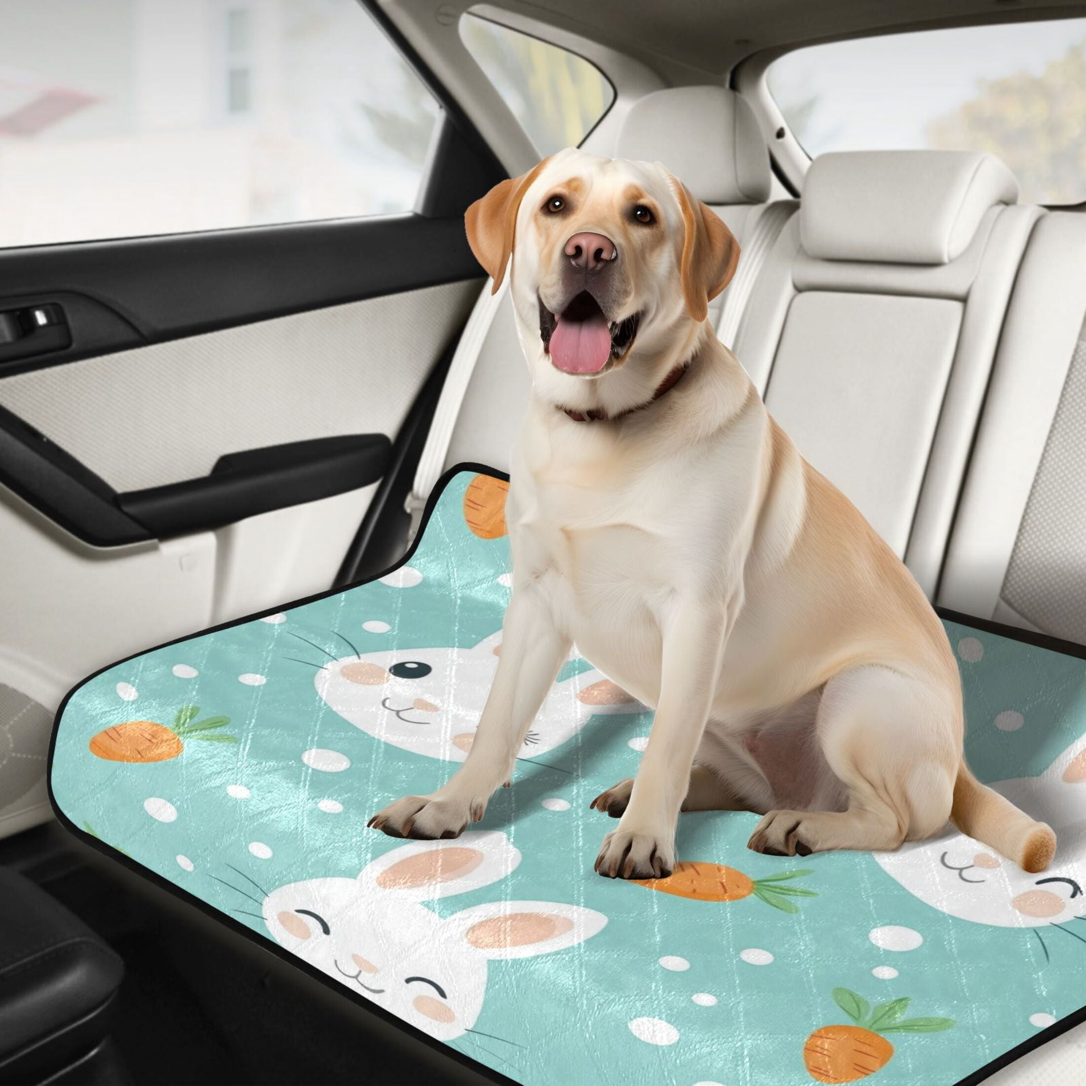 Qxltty Cute Cartoon Rabbit and Carrot Pattern Cat litter Pads Pet Set of 3 Diaper Mats Center Anti-leakage Layer Absorbent Soft and Comfortable