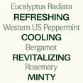thumbnail image 3 of Plant Therapy Eucalyptus Mint Essential Oil Blend 10 mL (1/3 oz) 100% Pure, Undiluted, Natural Aromatherapy, 3 of 10