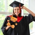 thumbnail image 6 of ​14in PhD Graduation Bear - Pink Faux Velvet Plush w/ Embroidered Regalia, Collectible Scholar Gift Set (Gown, Cap, Diploma, 6+ Safe)​​ Blue, 6 of 7
