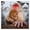 1pcs, variant on Japanese Snow Monkey With Baby Wildlife Photography Art Vinyl Sticker