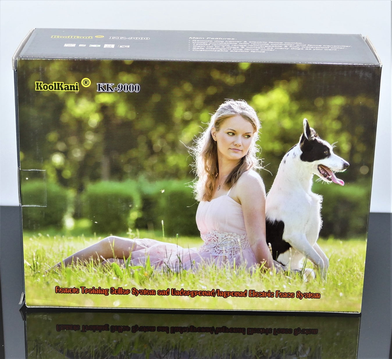 two dog shock collar