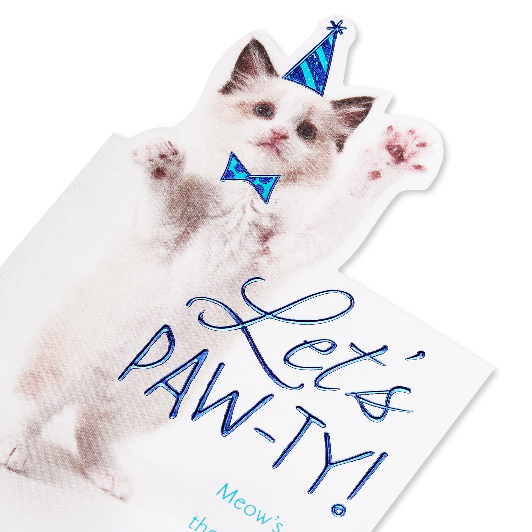 American Greetings Birthday Card for Anyone (Purr-fect)