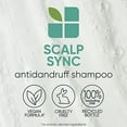 thumbnail image 3 of Biolage Scalp Sync Shampooing Antipelliculaire au Zinc Pyrithione 400 ml, 3 of 7