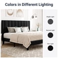 thumbnail image 6 of Allewie Queen Velvet Upholstered Bed Frame with Vertical Channel Tufted Headboard, Black, 6 of 7