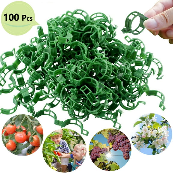 Secured Plastic Plant Clip,Tomato Trellis Clips, Plant Support Clips Tomato Clips for Climbing Plants, Plant Fixing Clips for Plant Supplies(Green/100pcs)