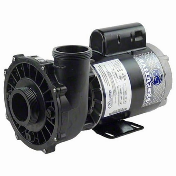 Waterway WWME4022620 2 in. 230V 2 Speed 4 HP Executive 56 Pump - 8 ft. Cord