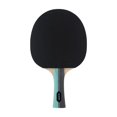 thumbnail image 1 of Lion Super 3 Bâton de Tennis de Table, 1 of 1