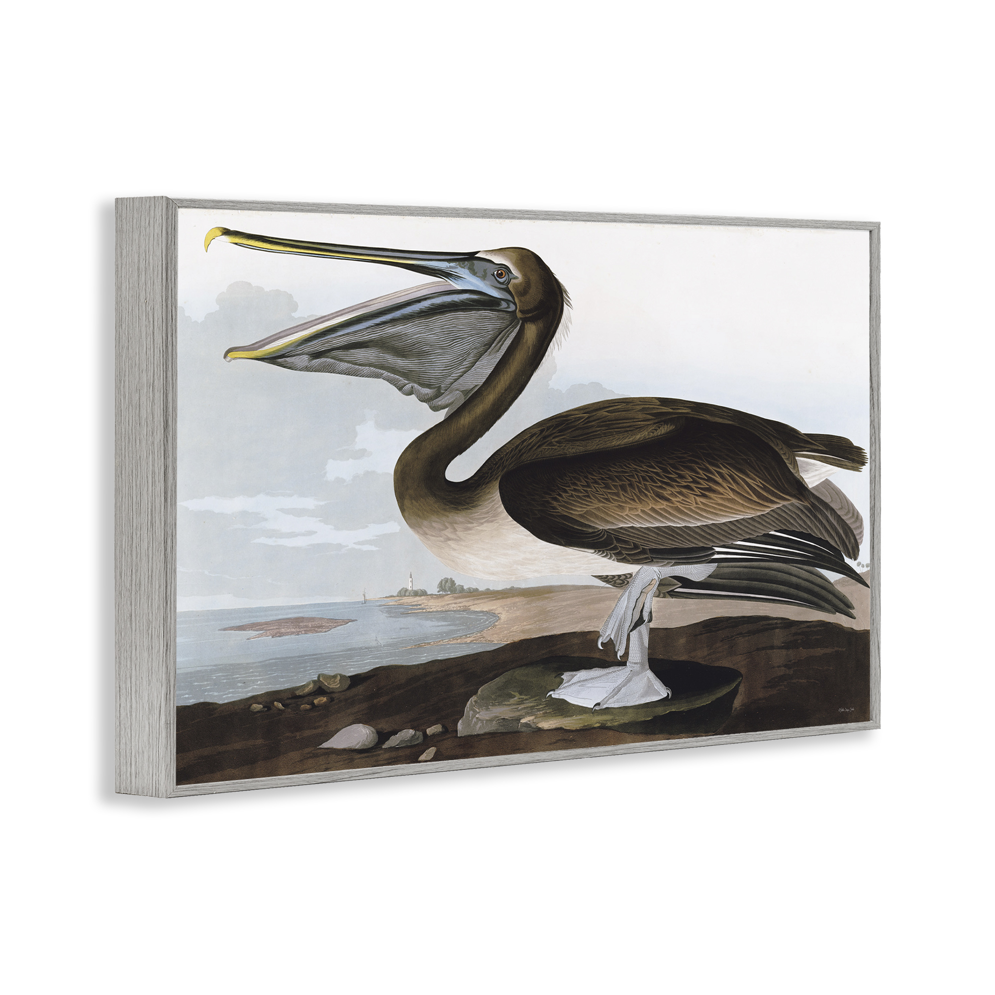 Stupell Industries Classic Pelican at Beach Animals & Insects Painting Gray Framed Art Print Wall Art, 30 x 20