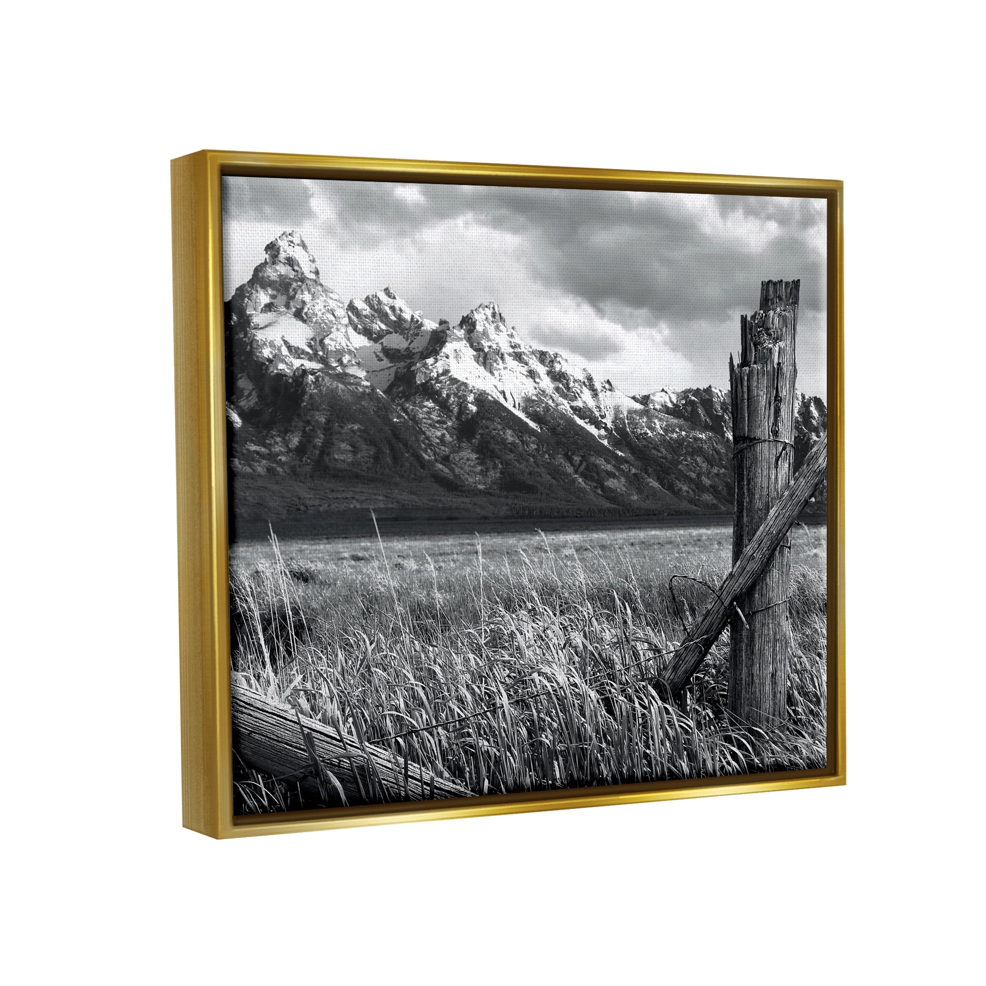 Stupell Industries Grassland Fence Photography Landscape Photography Gold Floater Framed Canvas Art Print Wall Art, 21 x 17