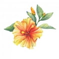 thumbnail image 2 of Yellow-red Hibiscus Flower Wall Decal Wallmonkeys Peel and Stick Graphic (18 in H x 18 in W) WM502631, 2 of 4