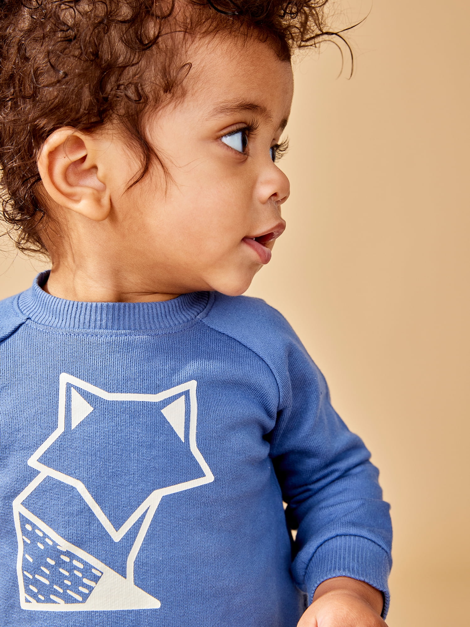 Little Star Organic Baby Boy Girl Unisex 2 Pc Sweatsuit Set, Size Newborn - 24 Months
