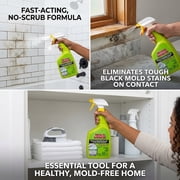 Home Armor; Mold Armor Instant Mold & Mildew Stain Remover, 32 oz - Pack of 2