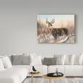 thumbnail image 3 of Trademark Fine Art 'Big Buck' Canvas Art by Rusty Frentner, 3 of 3