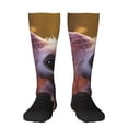 thumbnail image 1 of Balery Adorable Fluffy Bat Calcetines novedosos Calcetines deportivos Calcetines hasta la rodilla Calcetines de algodón Calcetines originales y geniales, 1 of 6